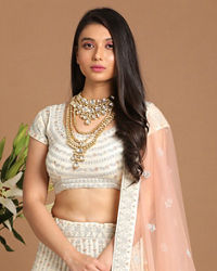 Mohey Women Light Colored Chiffon Lehenga