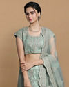 Pista Net Embroidered Lehenga image number 1