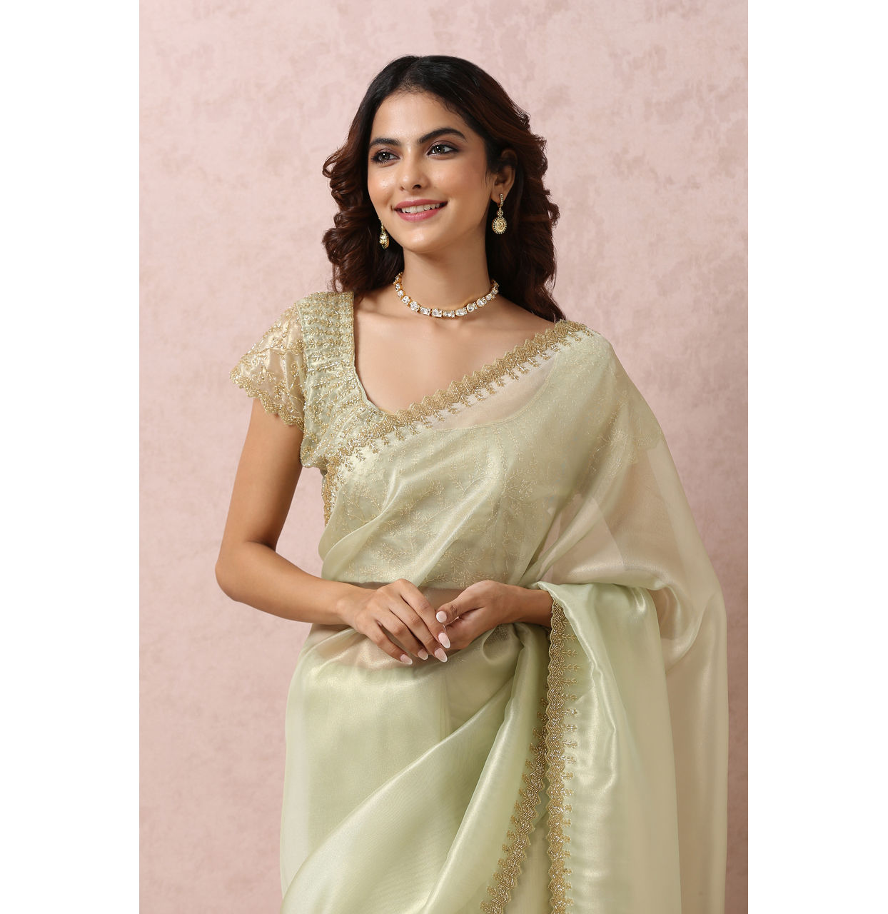 Pista Green Organza Saree With Stone Border image number 2