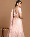 Mohey Women Light Pink Embellished Lehenga