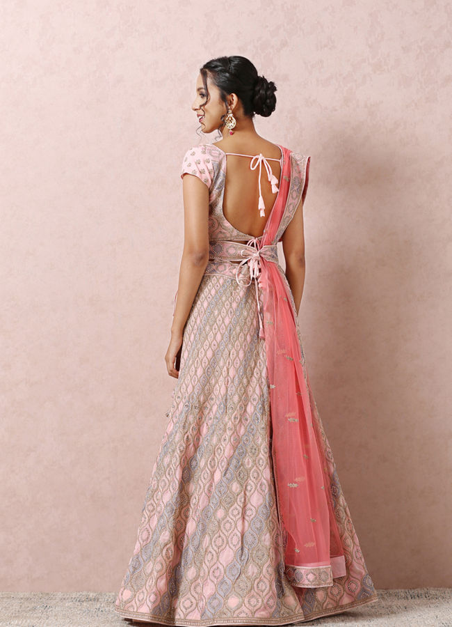 alt message - Mohey Women Light Pink Embellished Lehenga image number 3