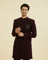 Majestic Purple Elegance Indo Western