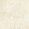 Light Cream Paisley Indo Western