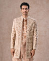 Fawn Velvet Festivity Indo Western