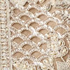 Beige Net Indo Western with Embroidery