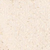 Cream Georgette Indo Western Jacket with Embroidery