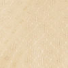 Soft Beige Buta Jaal Patterned Jacket with Patra Work
