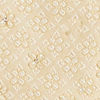Cream Beige Floral Buta Embroidered Jacket Set