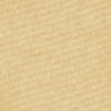 Exquisite Cream Georgette Juti