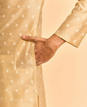 Diwas Men Beige Art Silk Celebration Kurta