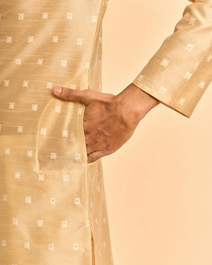 Diwas Men Beige Art Silk Celebration Kurta