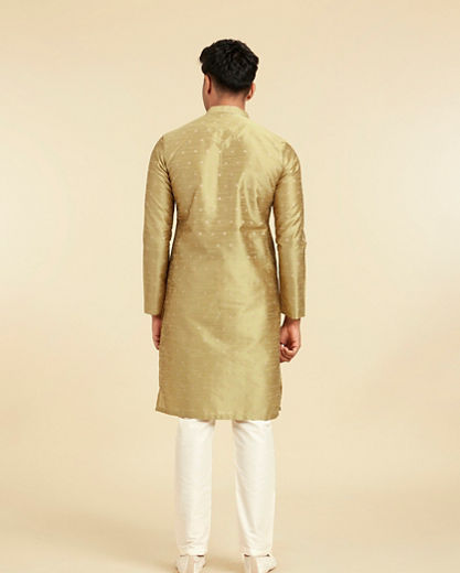 Diwas Men Mehndi Green Radiance Kurta