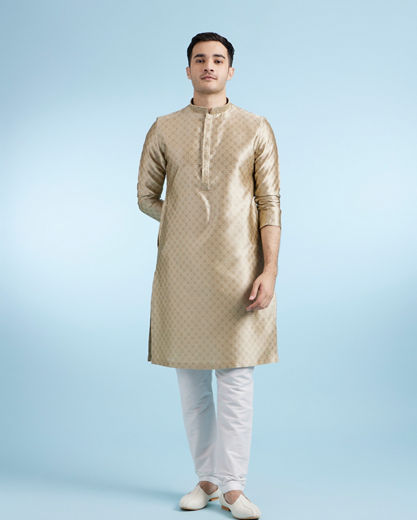 Diwas Men Walnut Beige Festive Kurta