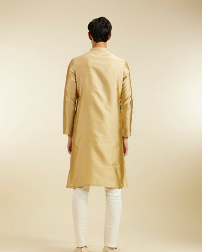 Diwas Men Light Fawn Lattice Patterned Kurta with Sequin Work