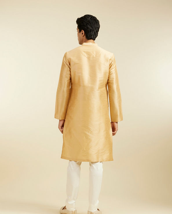 alt message - Diwas Men Light Fawn Plain Classic Kurta image number 4