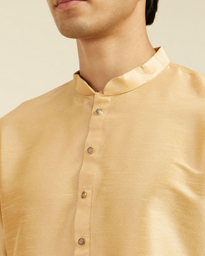 Diwas Men Light Fawn Plain Classic Kurta