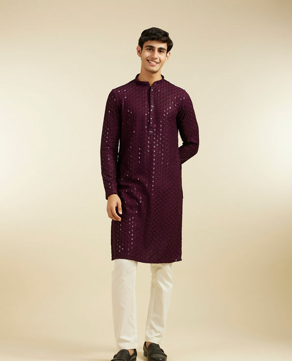 alt message - Diwas Men Royal Purple Chikankari Sequinned Kurta image number 2