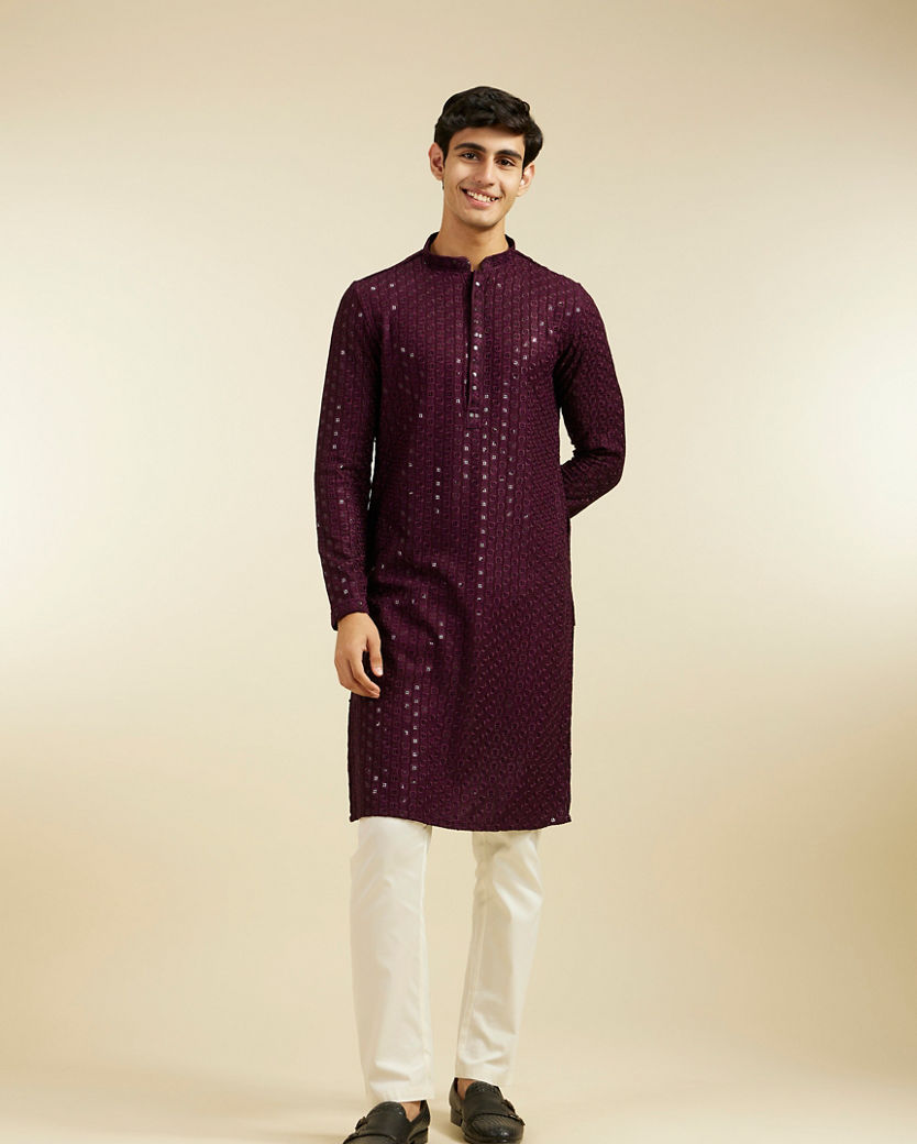 alt message - Diwas Men Royal Purple Chikankari Sequinned Kurta image number 2