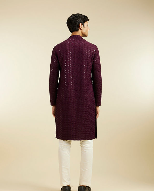 alt message - Diwas Men Royal Purple Chikankari Sequinned Kurta image number 4