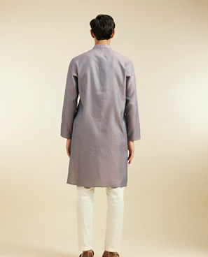 Diwas Men Concrete Grey Kurta with Fern Motifs and Embroidered Placket