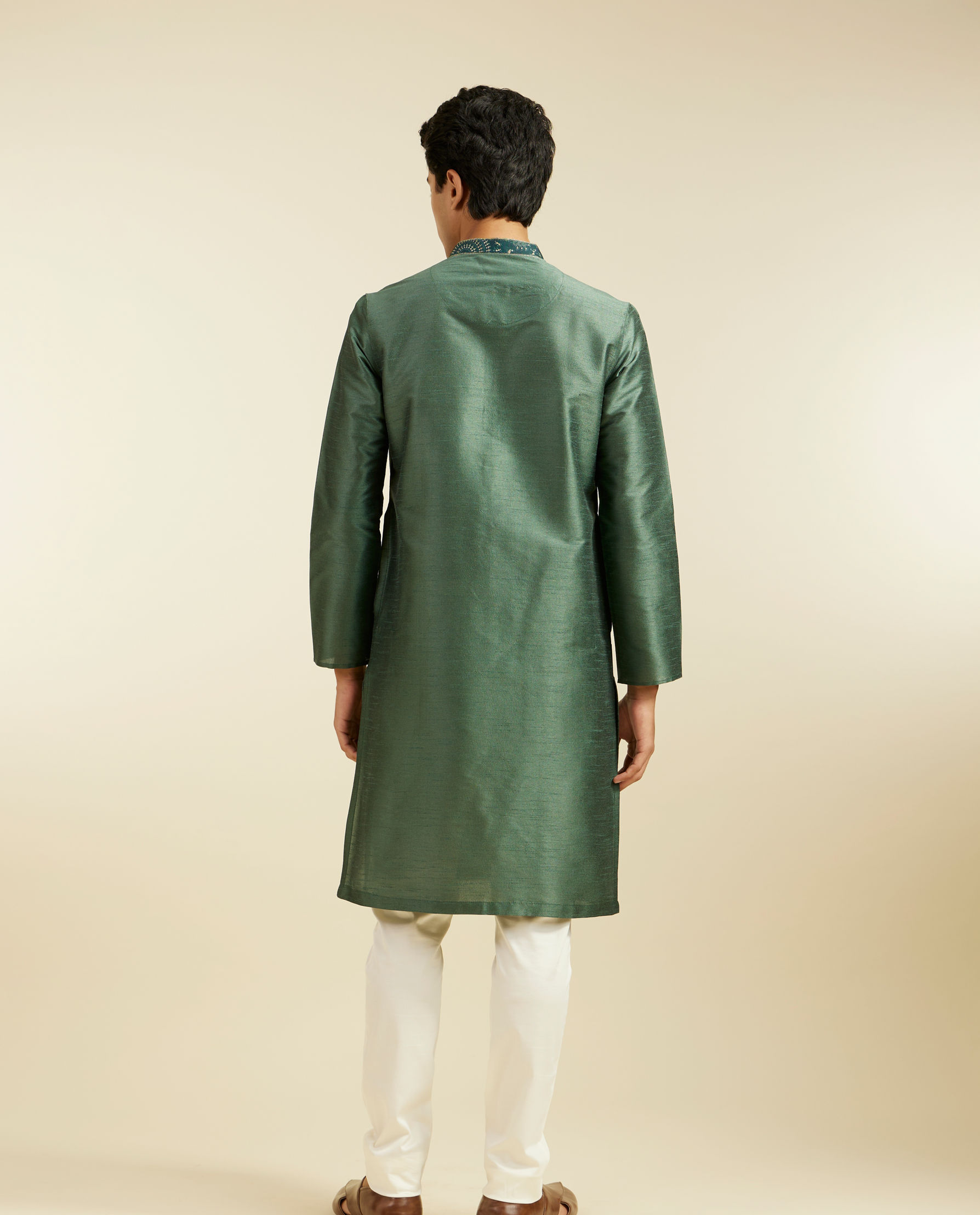 alt message - Diwas Men Bottle Green Plain Kurta with Embroidered Neck image number 4