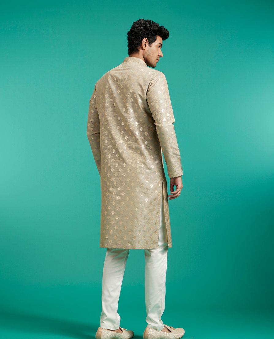 Diwas Men Pista Green Self Patterned Kurta with Fern Motifs