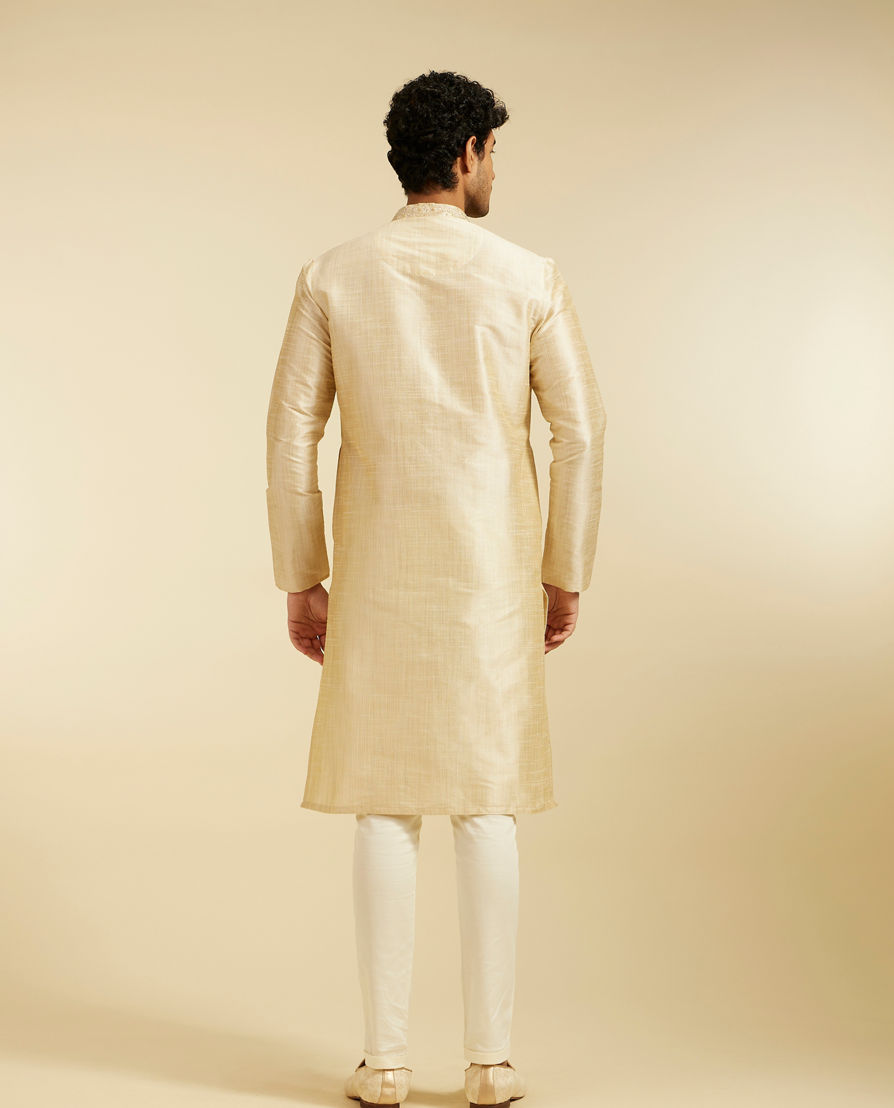 Diwas Men Beige Self Textured Kurta with Embroidered Placket