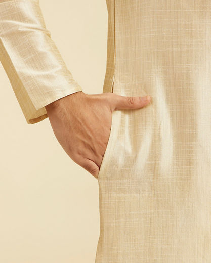 Diwas Men Beige Self Textured Kurta with Embroidered Placket