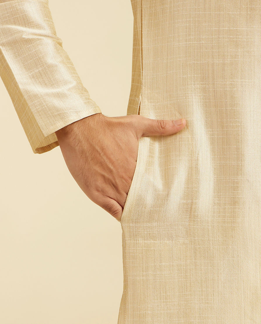 Diwas Men Beige Self Textured Kurta with Embroidered Placket