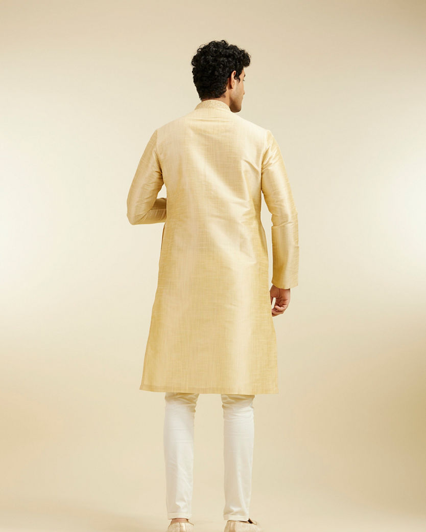 Diwas Men Light Fawn Self Textured Kurta with Embroidered Neckline
