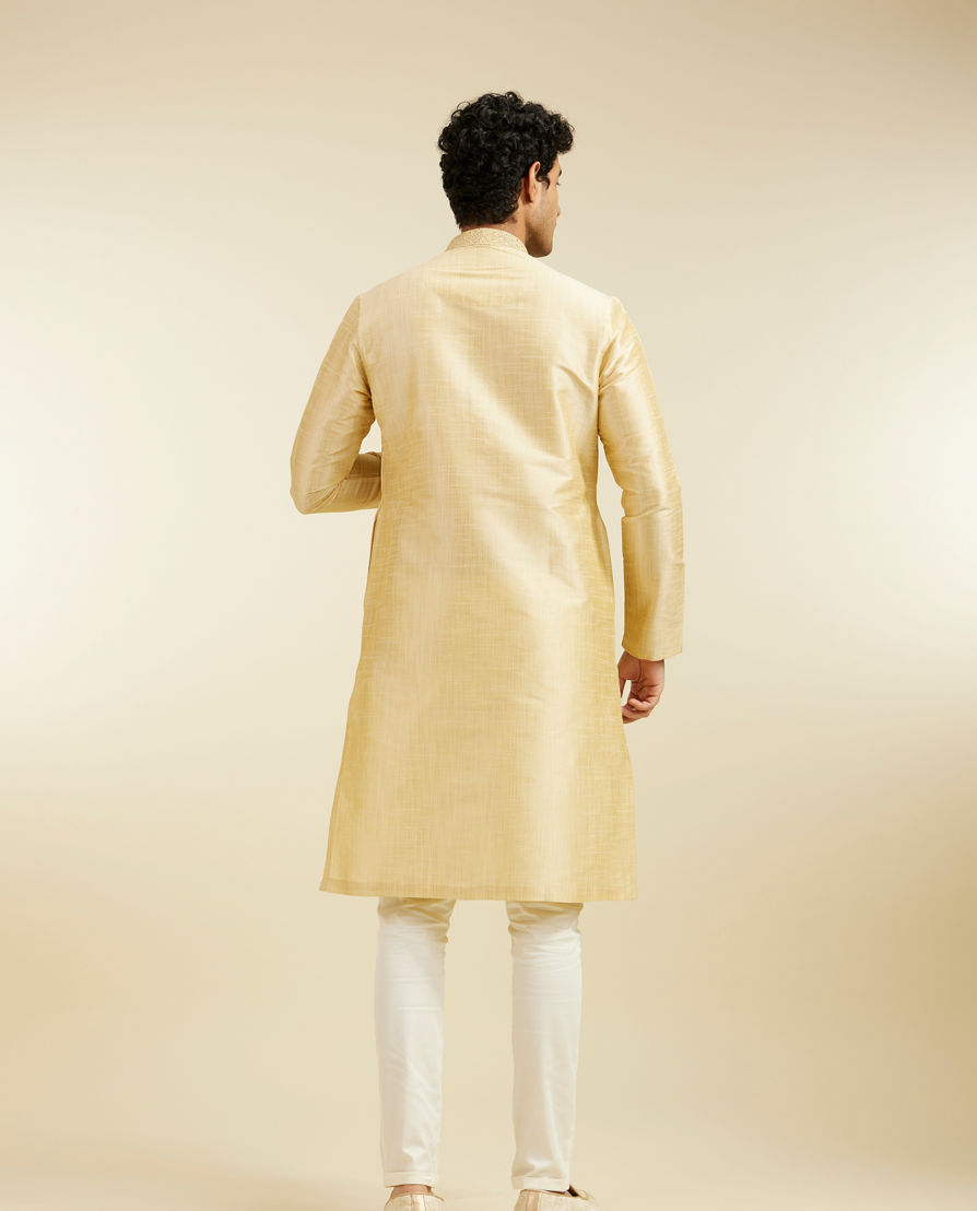 Diwas Men Light Fawn Self Textured Kurta with Embroidered Neckline