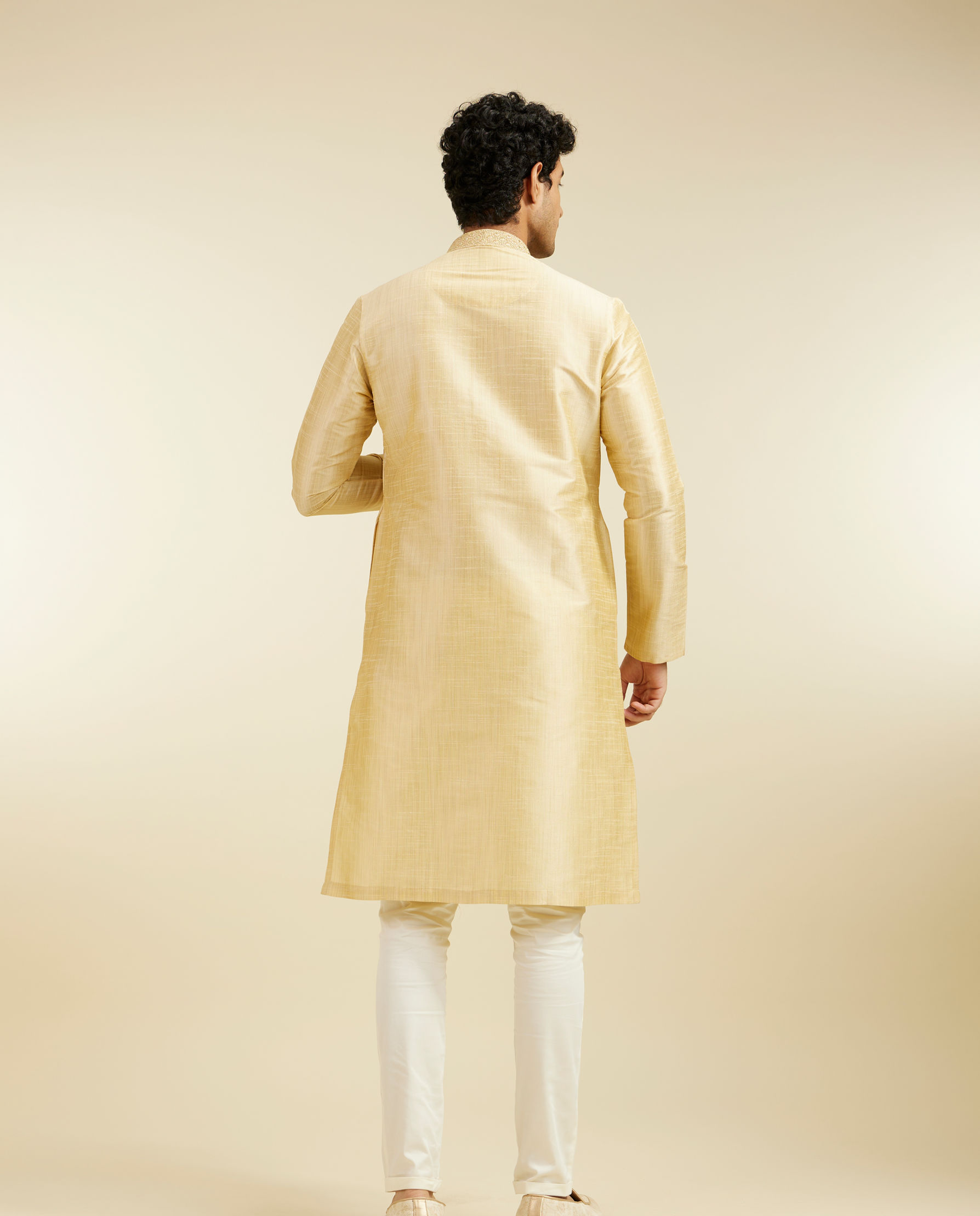 Diwas Men Light Fawn Self Textured Kurta with Embroidered Neckline