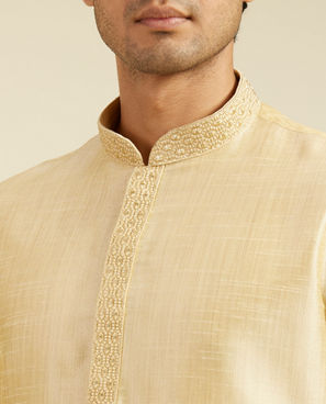 Diwas Men Light Fawn Self Textured Kurta with Embroidered Neckline