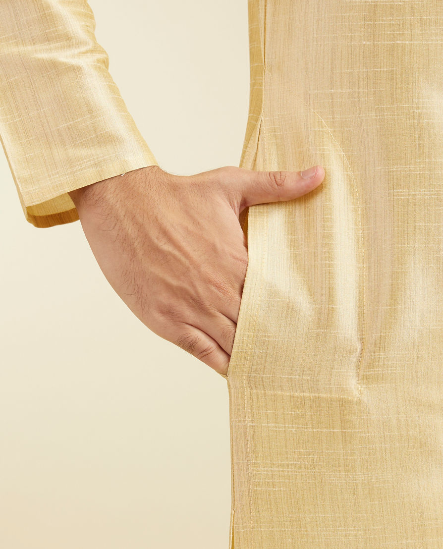 Diwas Men Light Fawn Self Textured Kurta with Embroidered Neckline