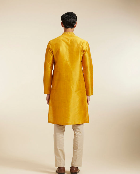 alt message - Diwas Men Mustard Yellow Textured Kurta with Embroidery image number 4