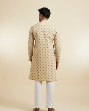 Diwas Men Fawn Festive Kurta