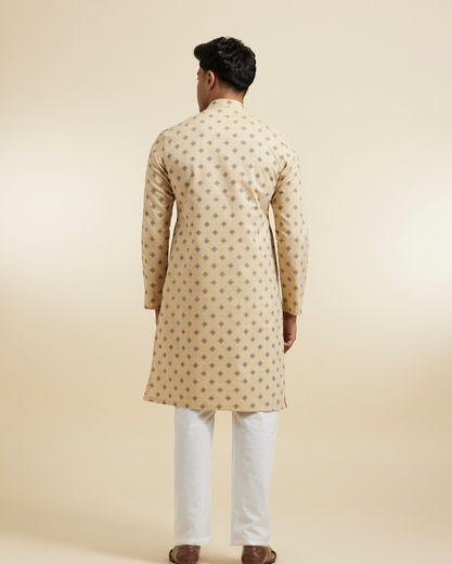 Diwas Men Fawn Festive Kurta