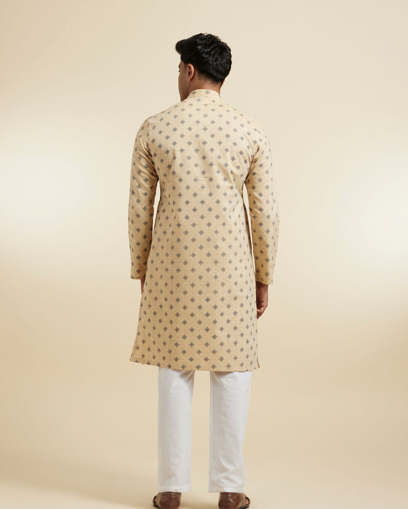 Diwas Men Fawn Festive Kurta