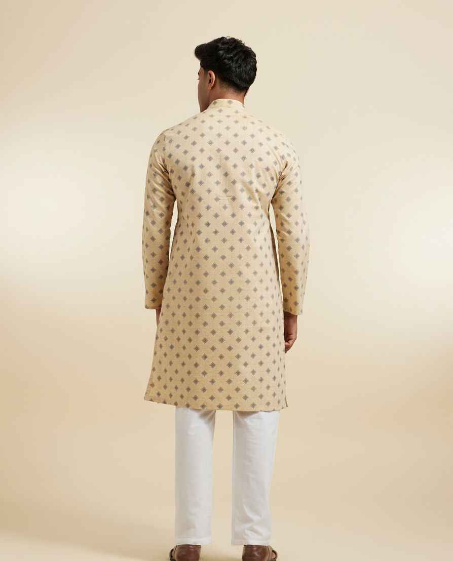 Diwas Men Fawn Festive Kurta