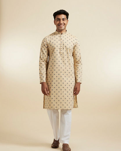 Diwas Men Fawn Festive Kurta