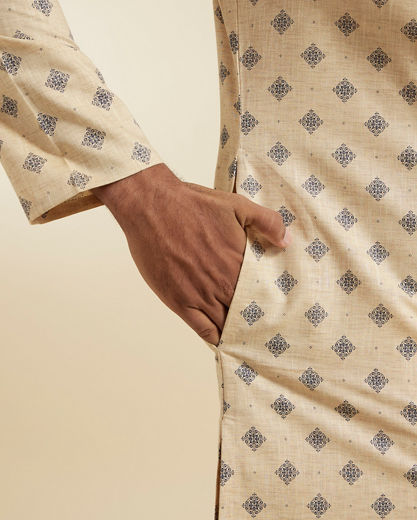 Diwas Men Fawn Festive Kurta