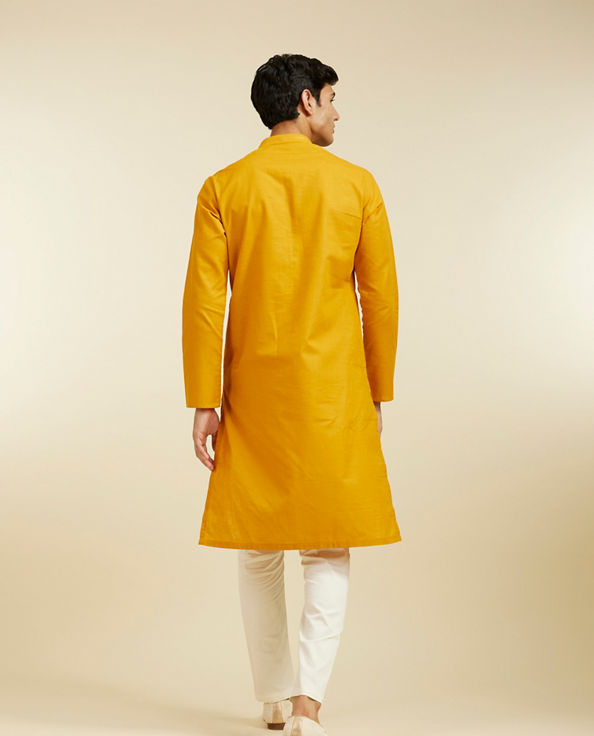 alt message - Diwas Men Mustard Yellow Plain Kurta with Embroidered Neck image number 4