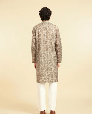 Diwas Men Olive Green Radiance Kurta