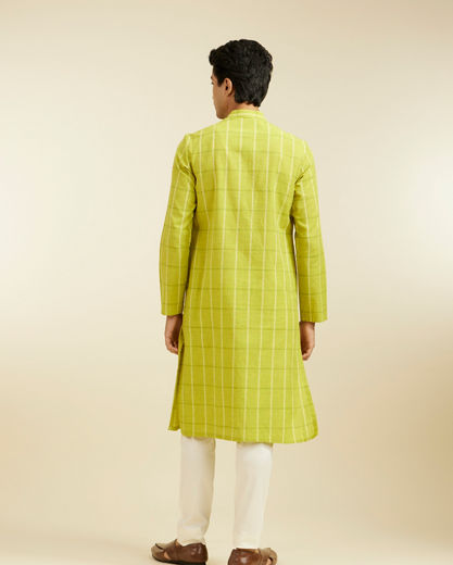 Diwas Men Soft Green Windowpane Checks Patterned Kurta