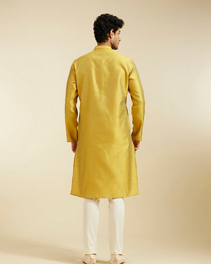 Diwas Men Mehndi Green Jaal Patterned Kurta with Fern Motifs