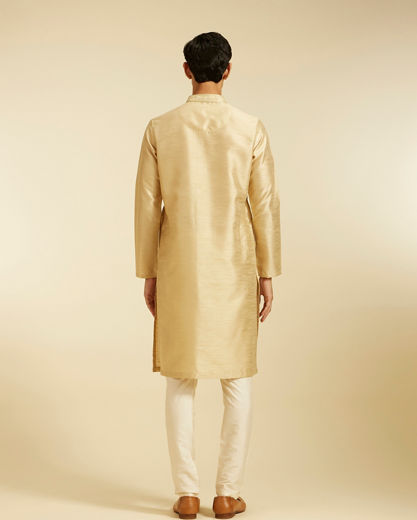Diwas Men Sand Beige Self Textured Kurta with Embroidered Placket