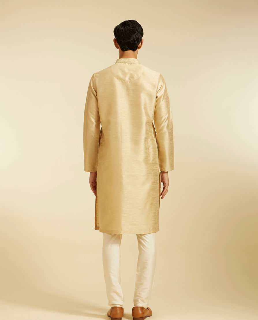 Diwas Men Sand Beige Self Textured Kurta with Embroidered Placket