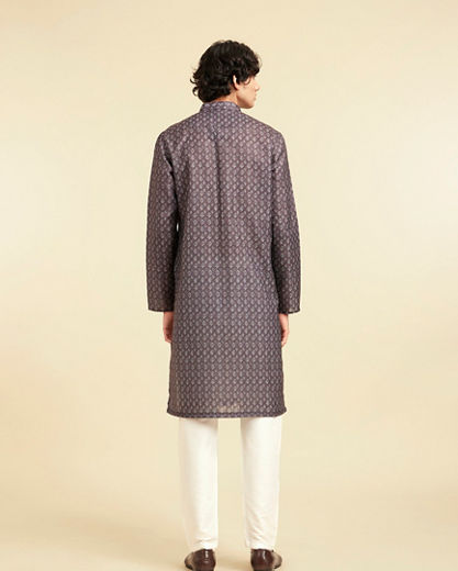 Diwas Men Brown Elegance Kurta