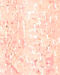 Peach Elegance Silk Kurta