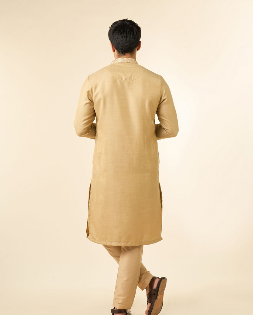 Diwas Men Fawn Radiance Kurta